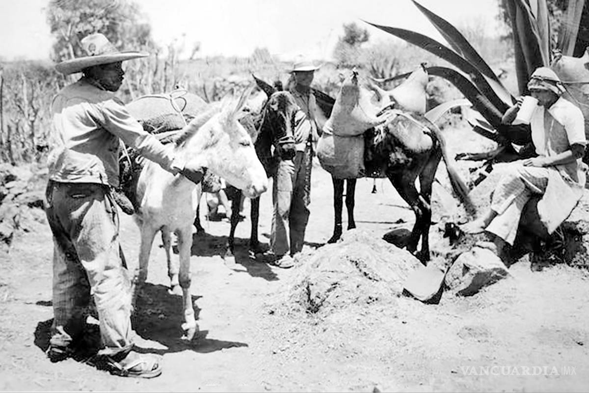 Relatos y retratos de Saltillo: pulque, bebida de los dioses