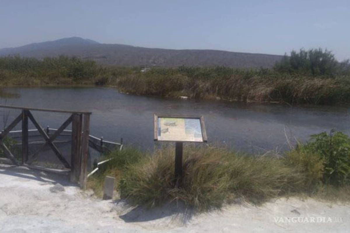 Unirán esfuerzos Gobierno de Coahuila y organizaciones para rescatar la Poza de la Becerra