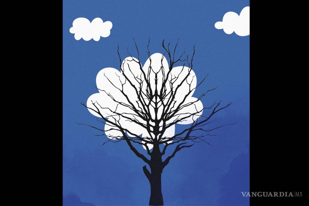 ¡Ay, Chihuahua! Retos frente a la crisis de sequía