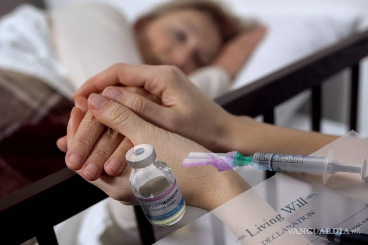 Abren la puerta a la eutanasia: diputaciones debaten casos de salud crítica