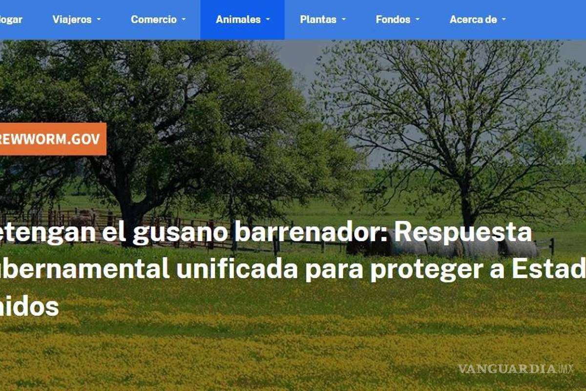 Crea Estados Unidos un sitio web exclusivo para abordar el combate al gusano barrenador de ganado