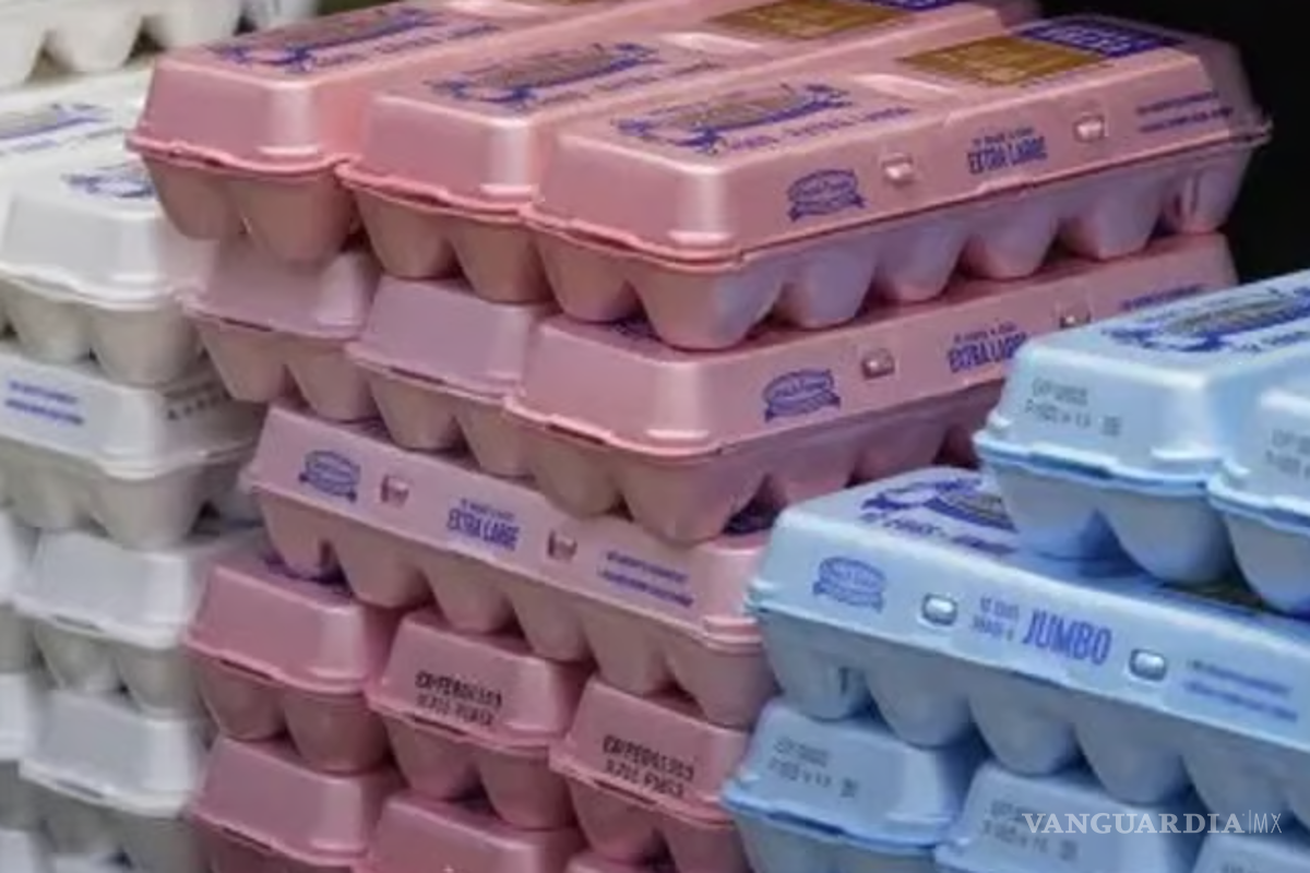 Por gripe aviar detiene producción el mayor proveedor de huevos de EU; sacrifica más de un millón de aves