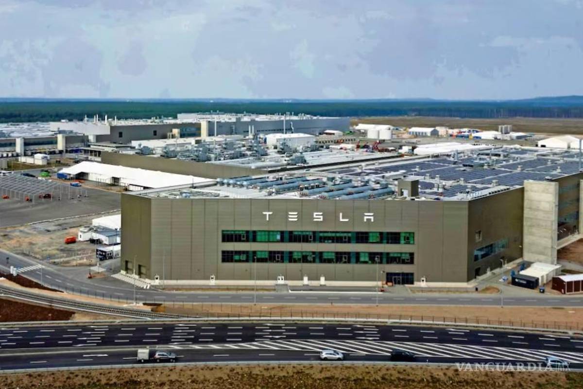 ‘Saltillo no saldrá perjudicado si Tesla no llega a Nuevo León’