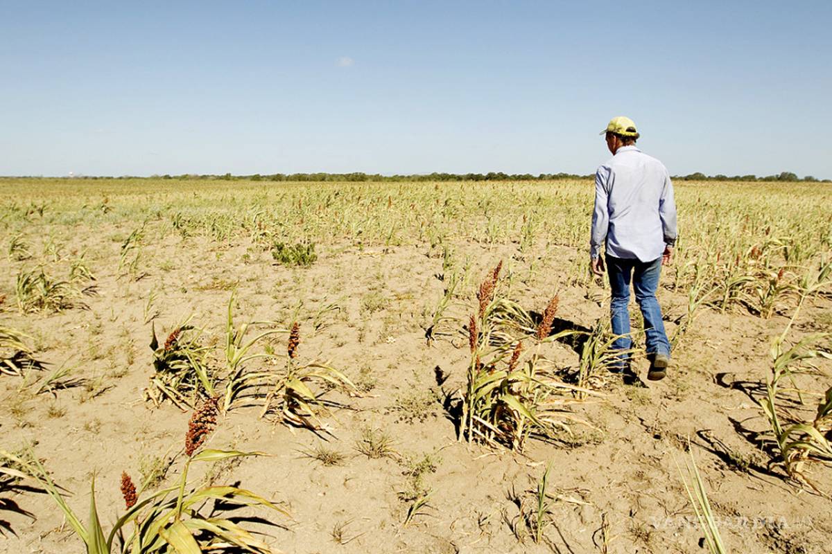 Rebasados, los programas de gobierno para resolver los conflictos agrarios