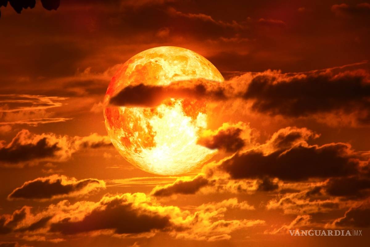 Te decimos cuando se podrá ver el eclipse lunar y la superluna de flores