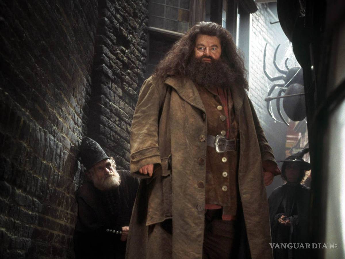 $!Robin Williams quería un papel en ‘Harry Potter’