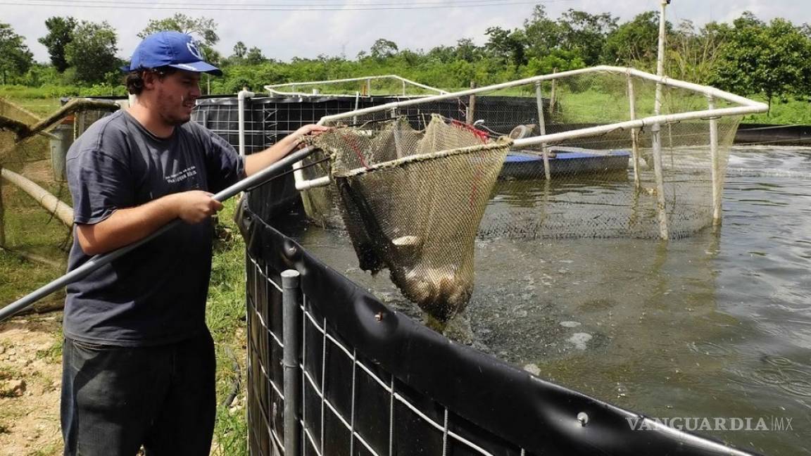 Lanzarán proyectos de acuacultura a zonas áridas en Coahuila