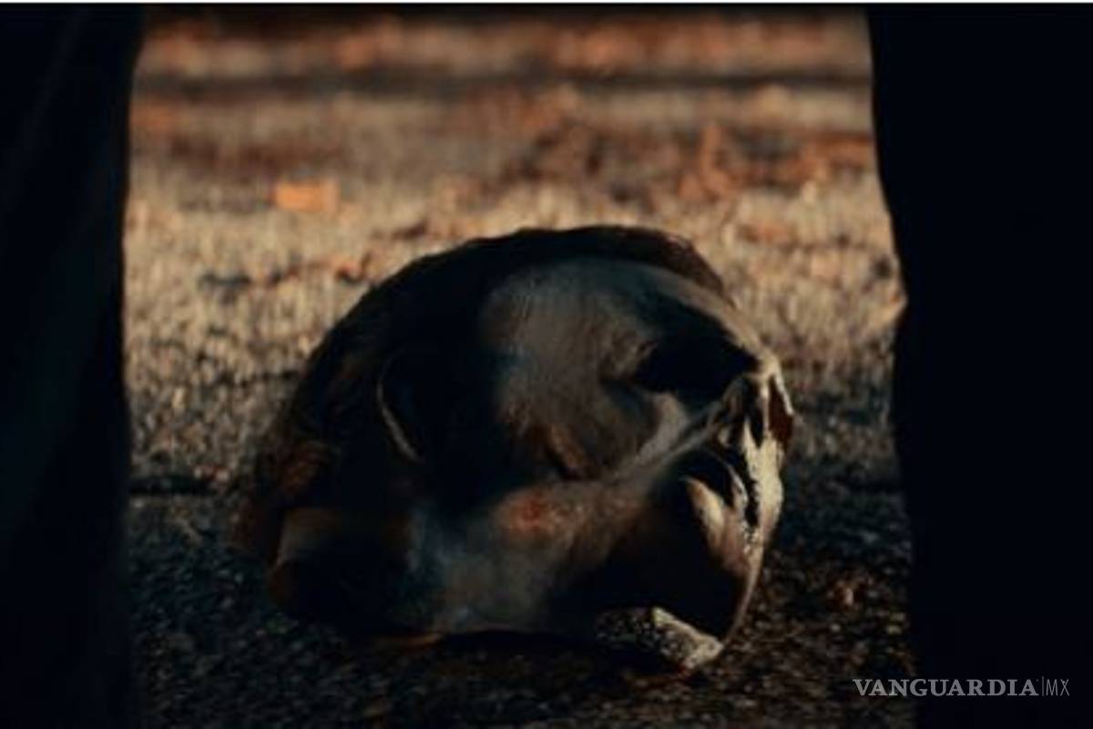 Reaparece Michael Myers en terrorífico tráiler de Halloween Kills