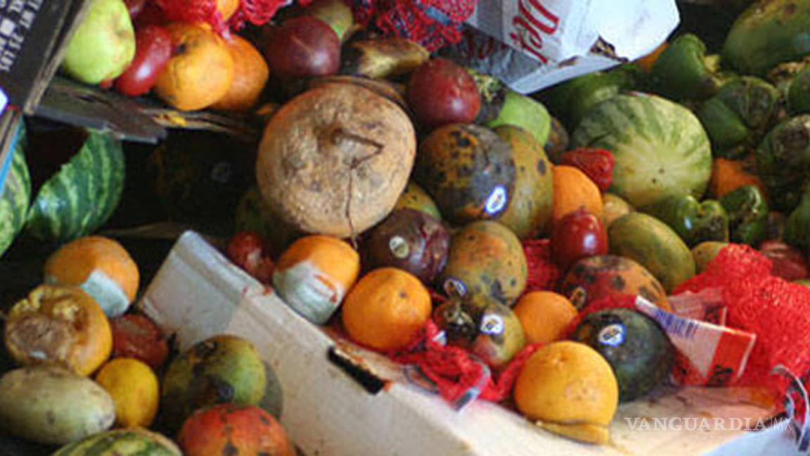 $!Desperdicio de comida asciende a 750 mil mdd: FAO