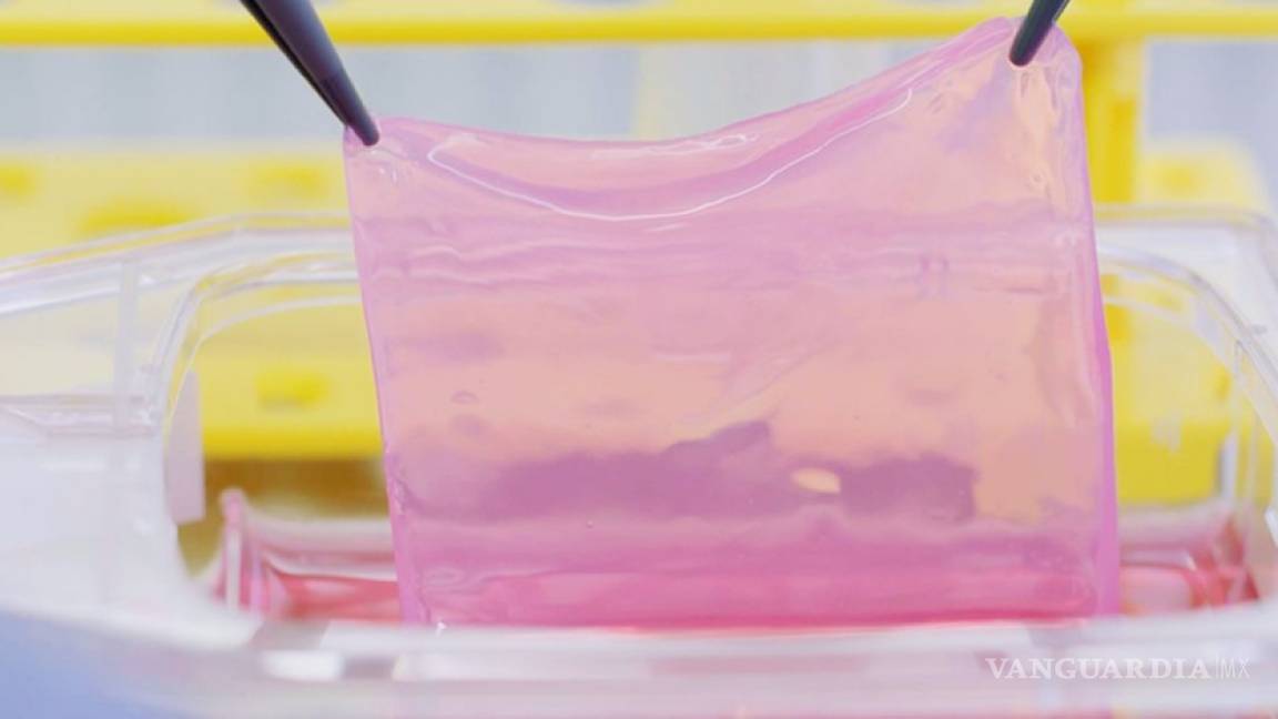 Crean en Suiza la primera máquina que reproduce piel para injertos