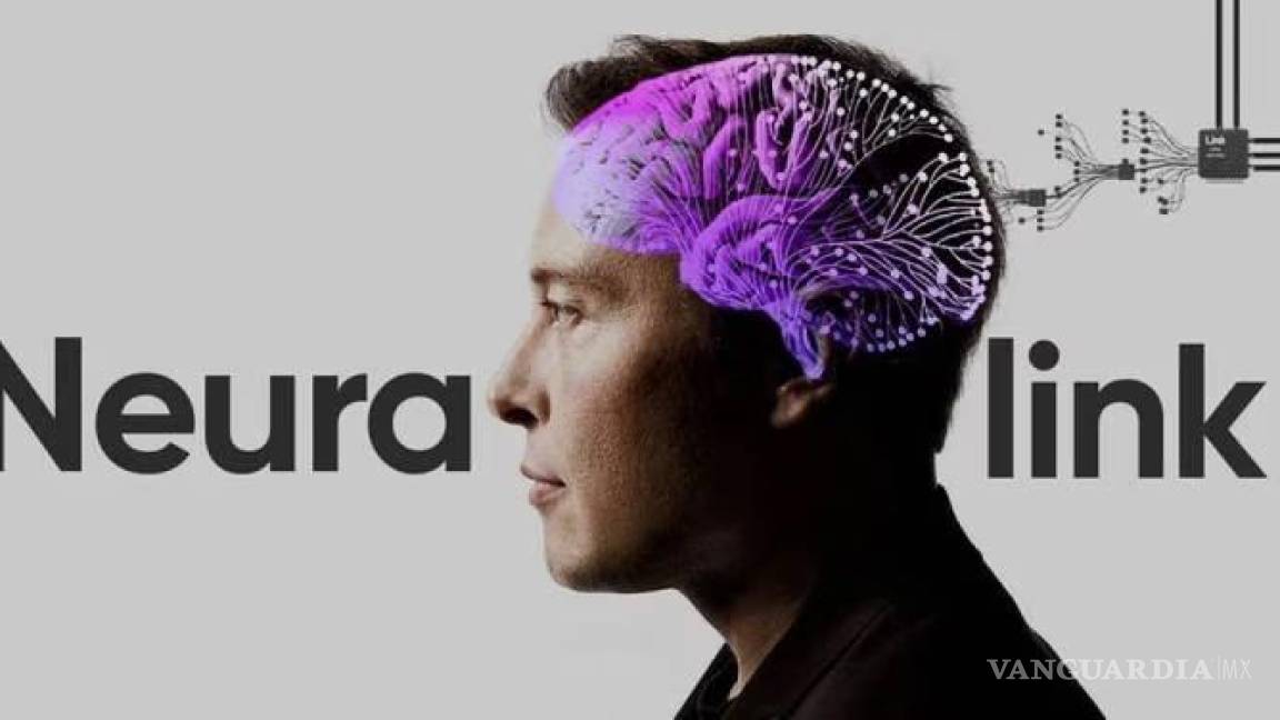 Probará Neuralink, empresa de Elon Musk, implantes cerebrales en humanos