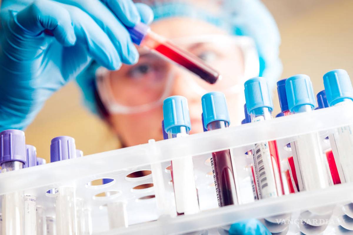 ¿Qué es el MSC-1?... el nuevo fármaco que evita la metástasis y reduce tumores