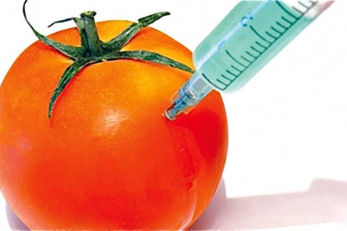 Países de UE quieren bloquear los cultivos transgénicos