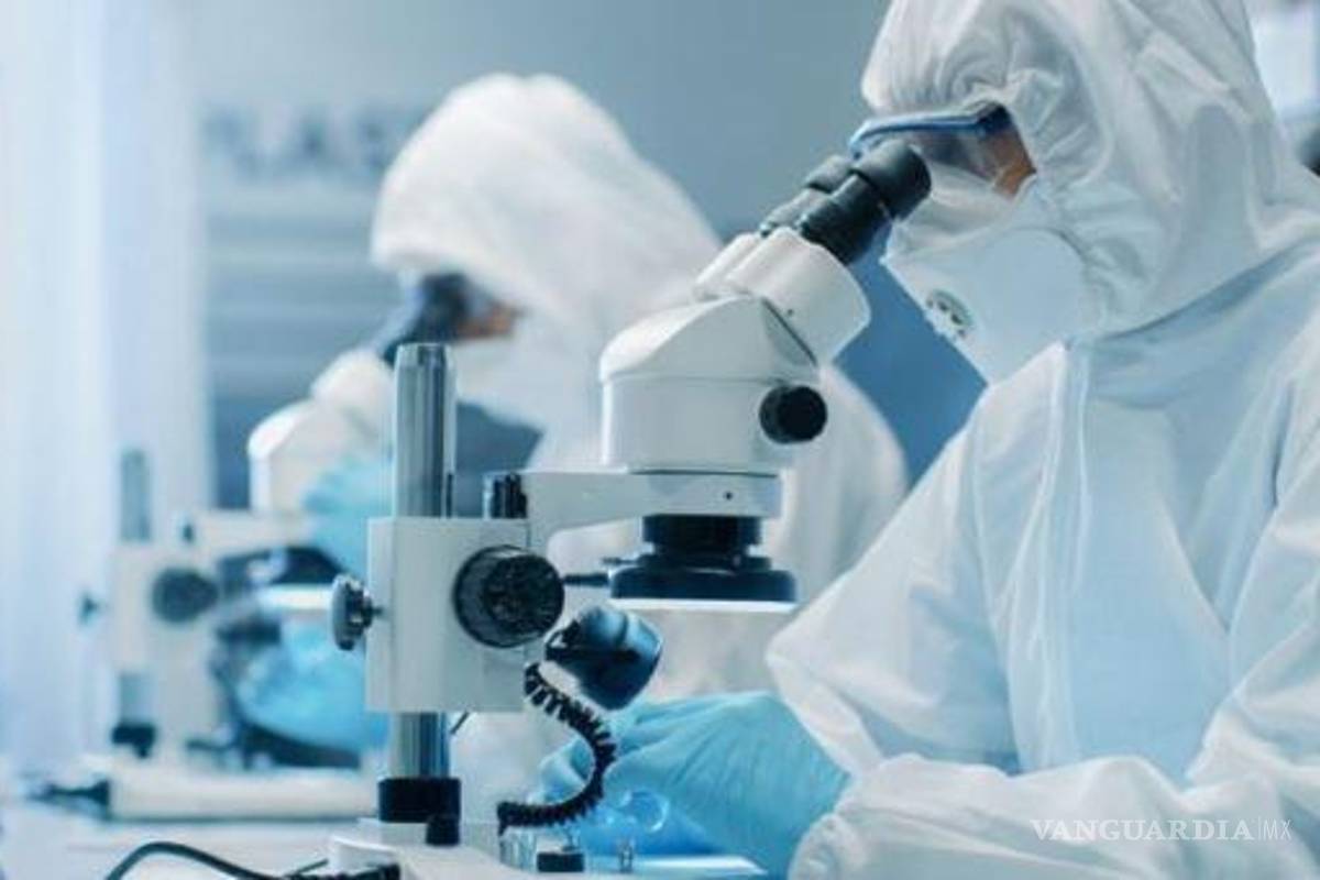 Difunden la primera imagen de la variante Ómicron del COVID