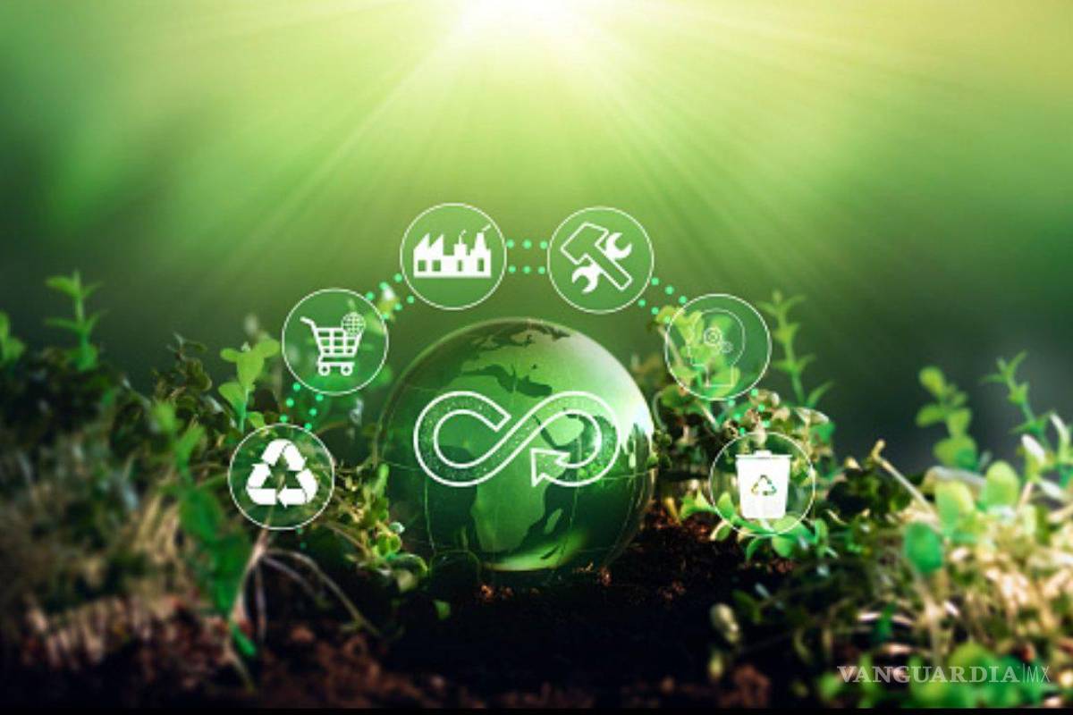 Con el hashtag #EconomíaCircularYa exigen promover mejores prácticas a favor del medio ambiente