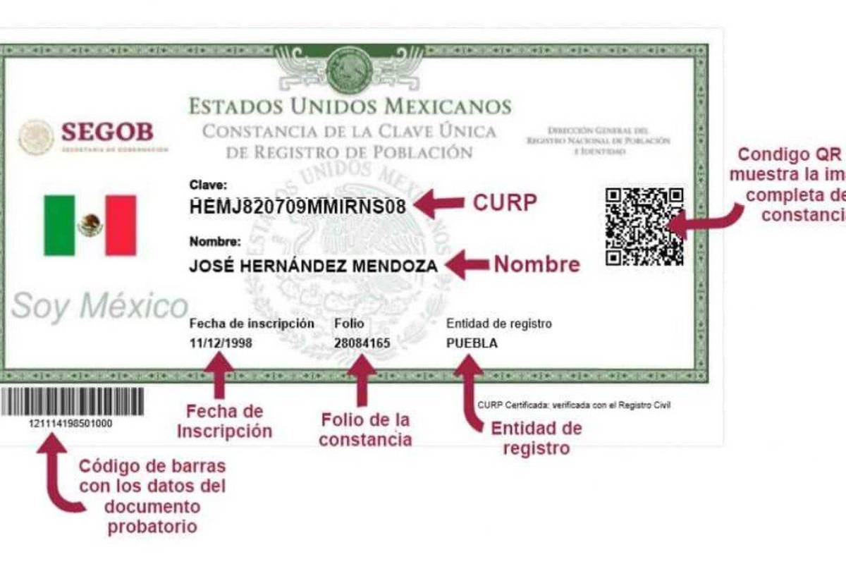 ¿Tu CURP tiene un error?... esto son los requisitos que necesitas para realizar una corrección