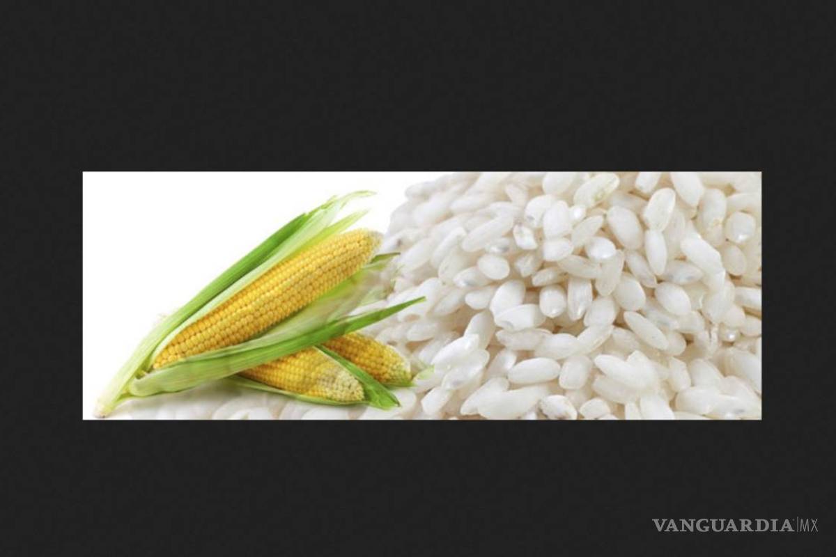 Hallazgo de un gen en cereales abre la puerta a mejorar el arroz y el maíz