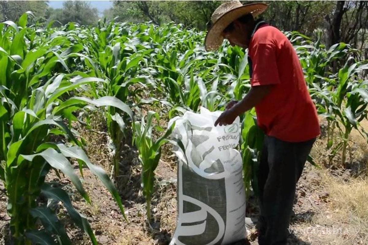 Sader debe transparentar información sobre programa de fertilizantes: INAI