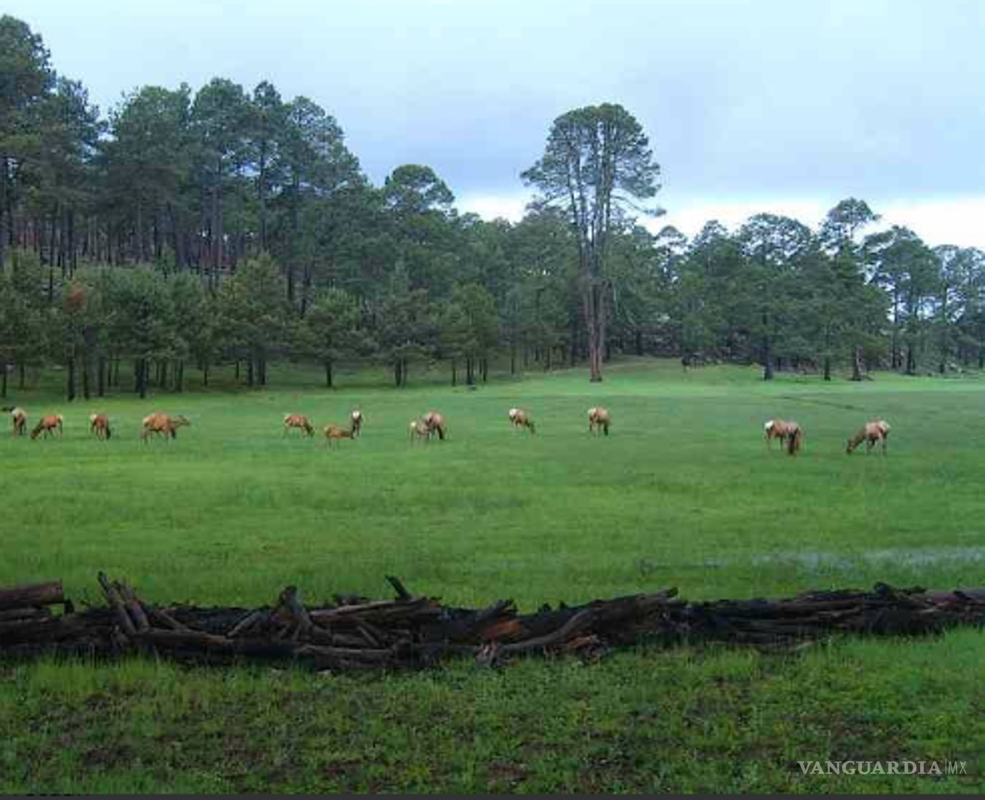 $!Todos los caminos llevan a Saltillo o cómo llegar a algunos de los puntos más atractivos del país saliendo desde la capital de Coahuila
