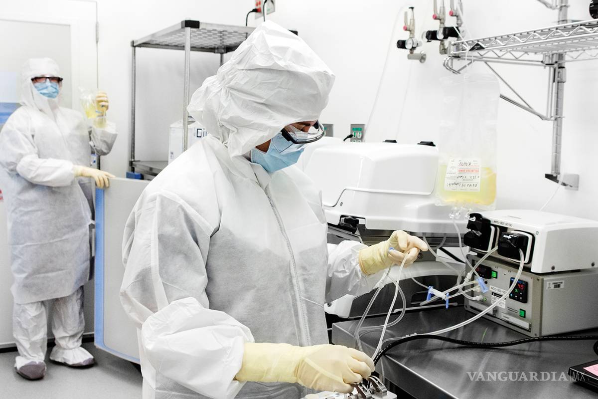 Avanza la biotecnología para combatir el cáncer