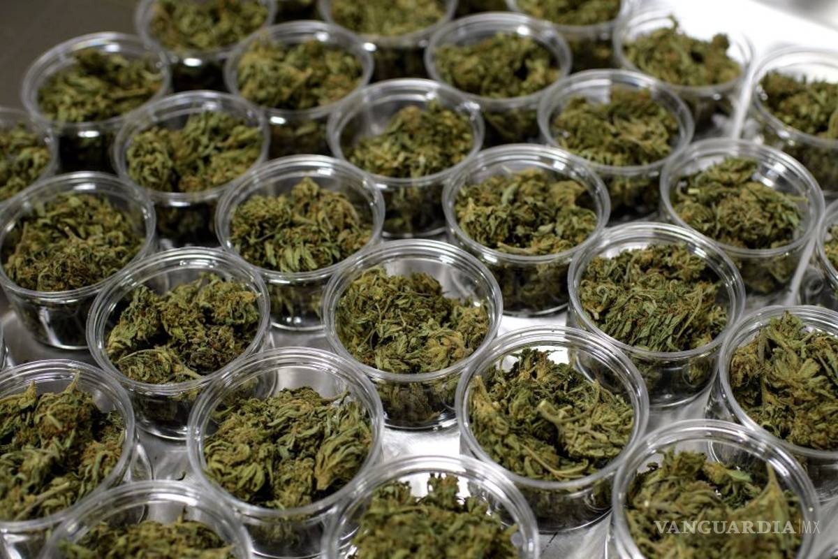Disparó pandemia consumo de cannabis y sedantes