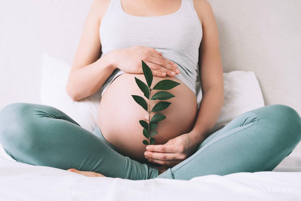 $!Mujer gestante sujeta un brote vegetal (símbolo de fertilidad) junto a su vientre.