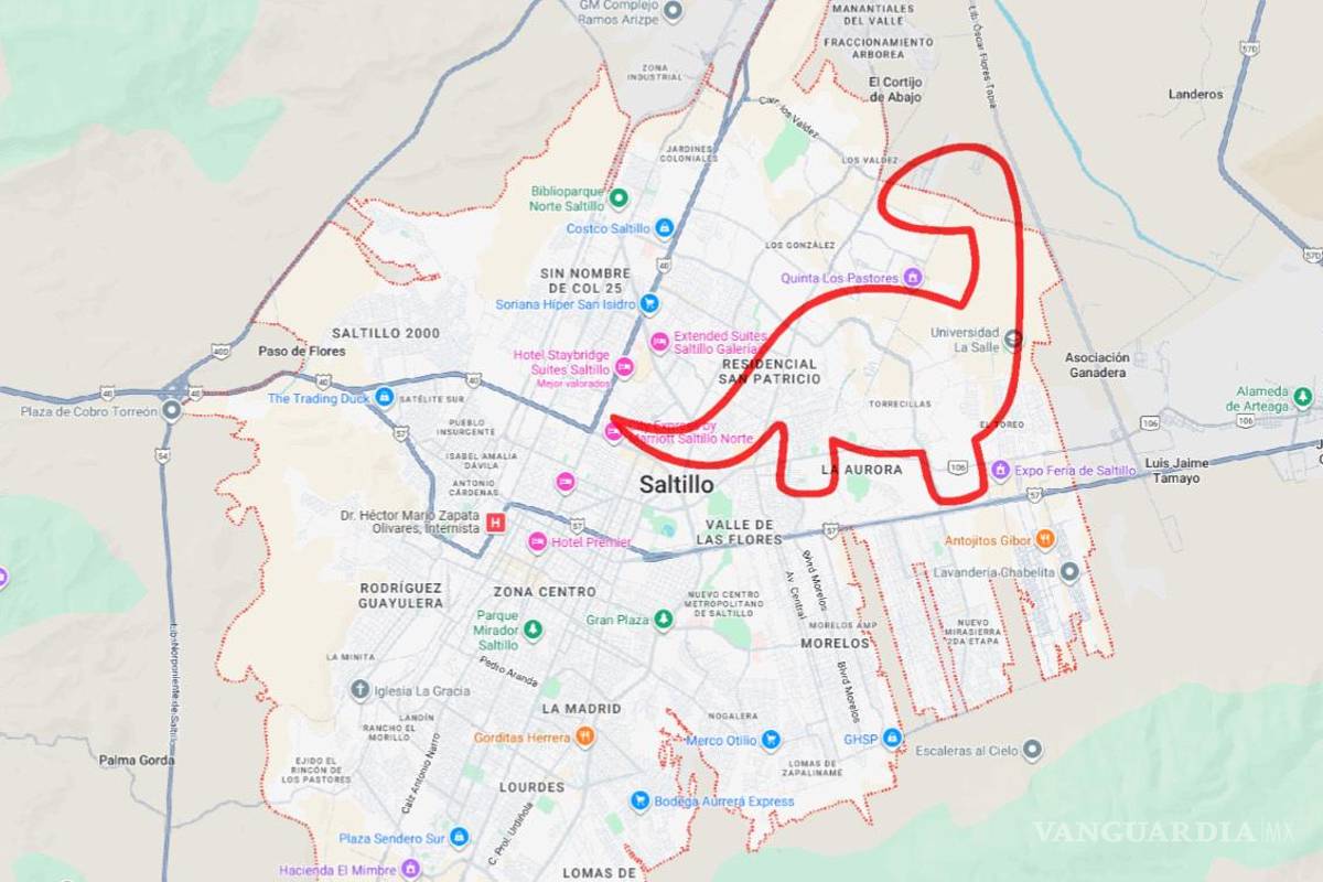 Saltillo: ¿Vivir fuera del dinosaurio es vivir en el error?