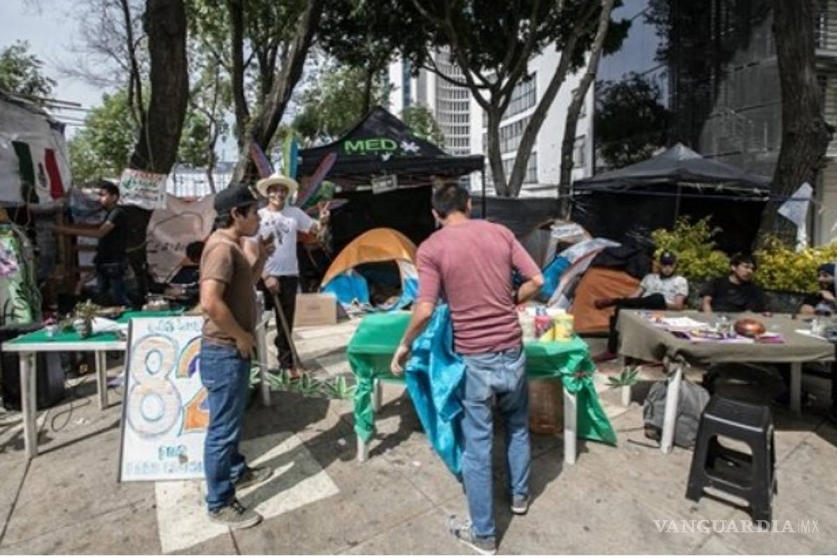 Acampan para abrir debate sobre el cannabis
