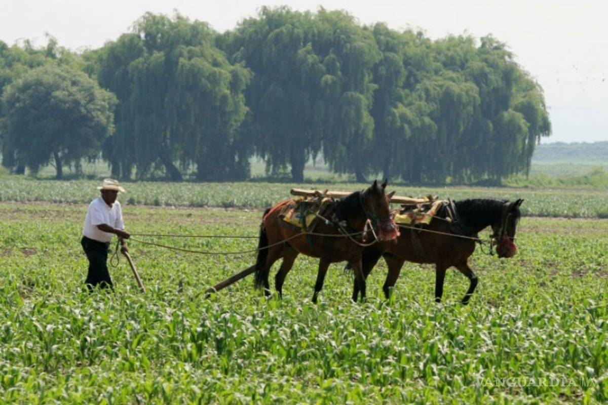 Tema agrario, 'arma' con la que México podría someter a EU en el TLCAN