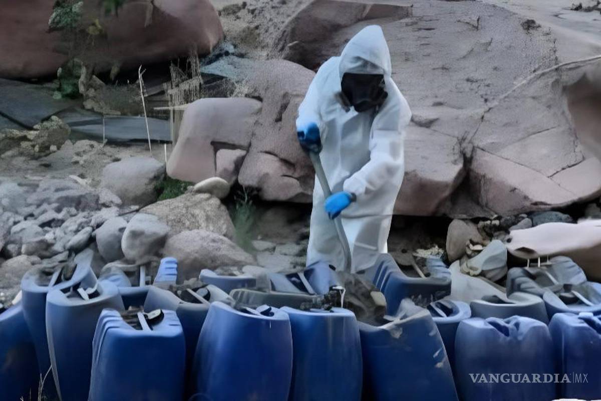 Encuentran 9 nuevos laboratorios clandestinos en Sinaloa; suman 170