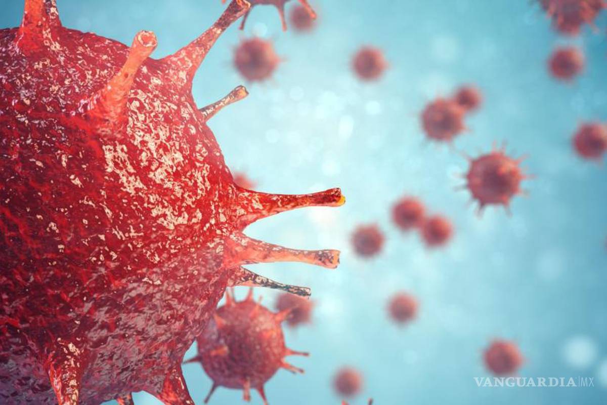 Se esparce peligroso germen resistente a medicamentos