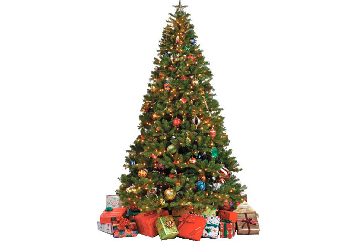 En Saltillo sale caro poner pino y nacimiento para Navidad