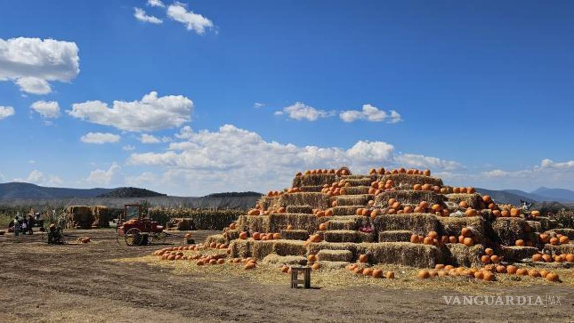 $!Las atracciones de La Huerta de Girasoles son accesibles para familias de Saltillo y Nuevo León, con entradas a 100 pesos para girasoles y calabazas.