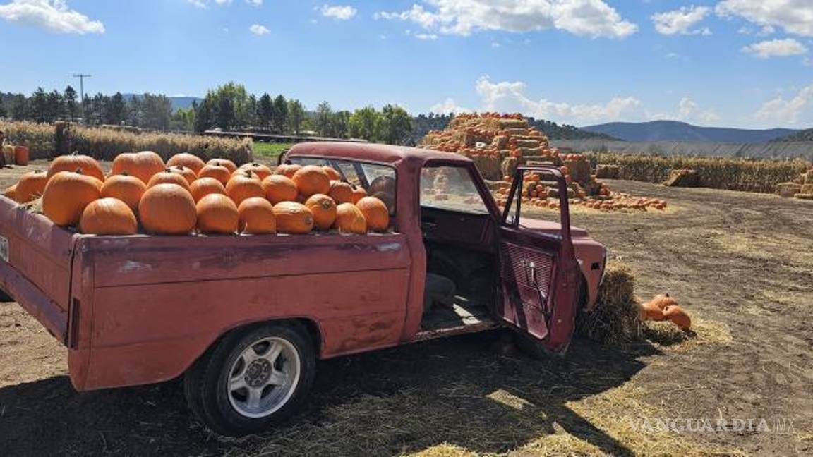 $!La incorporación del tallado de calabazas se ha convertido en una actividad familiar muy bien recibida por los visitantes.