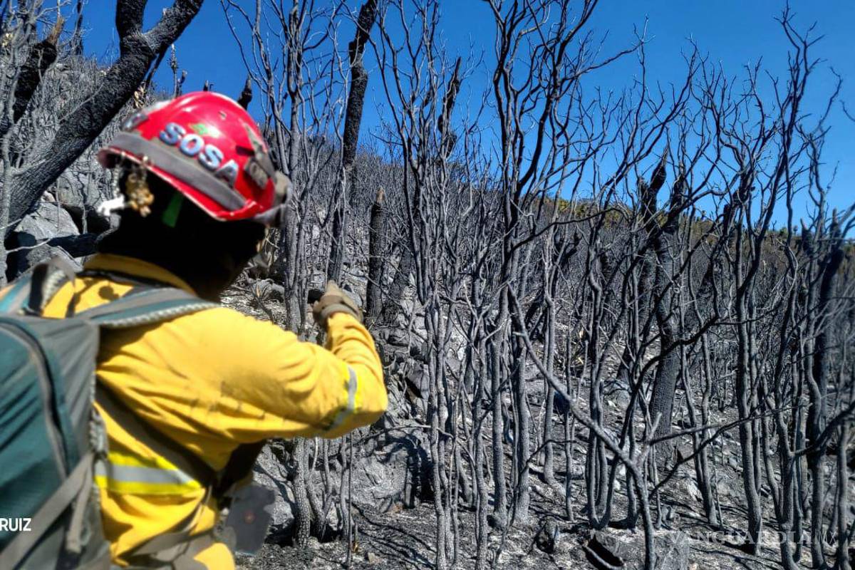 Liquidan incendio forestal registrado en Zaragoza, Nuevo León