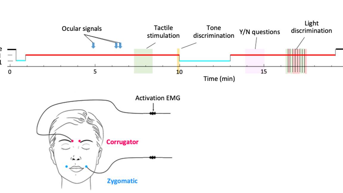 $!Hablar con personas mediante sueños lúcidos es posible