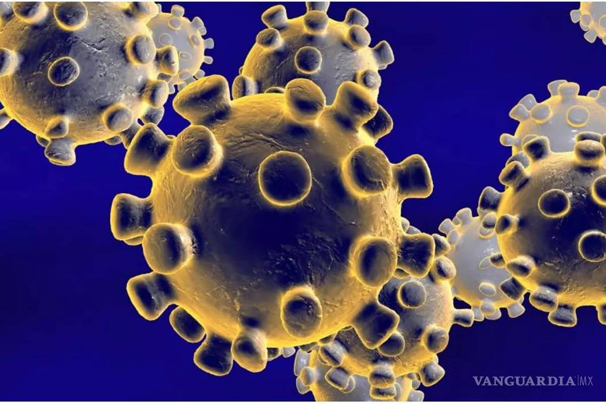 OMS descarta, por ahora, declarar emergencia por coronavirus