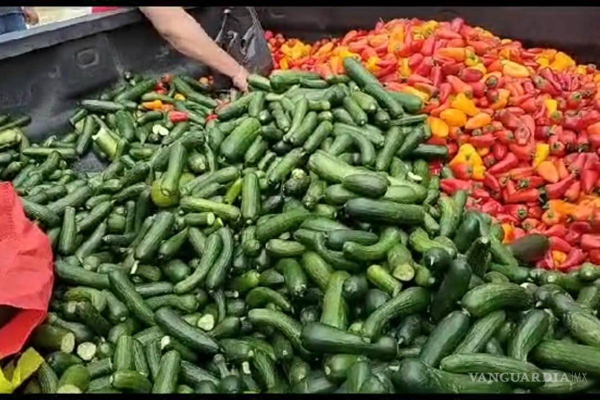 Entregan en Parras chiles y pepinillos para apoyar a la comunidad