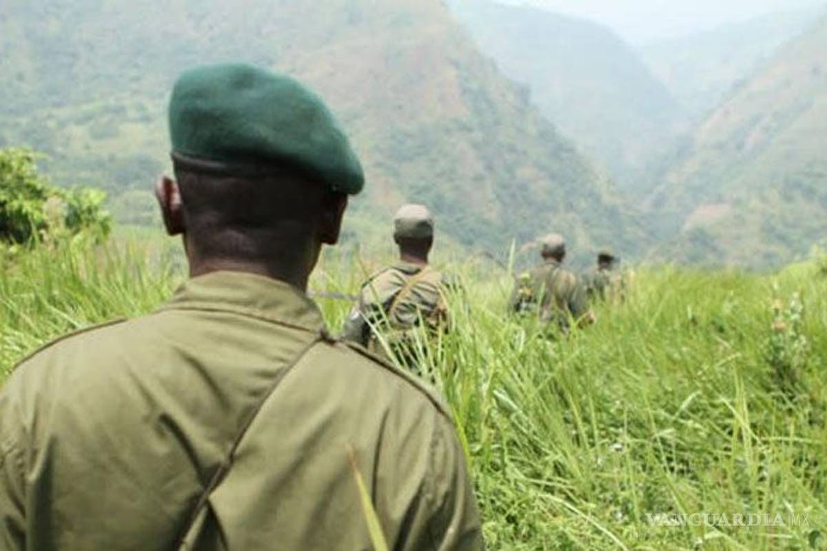 Seis guardabosques fueron asesinados en el Congo