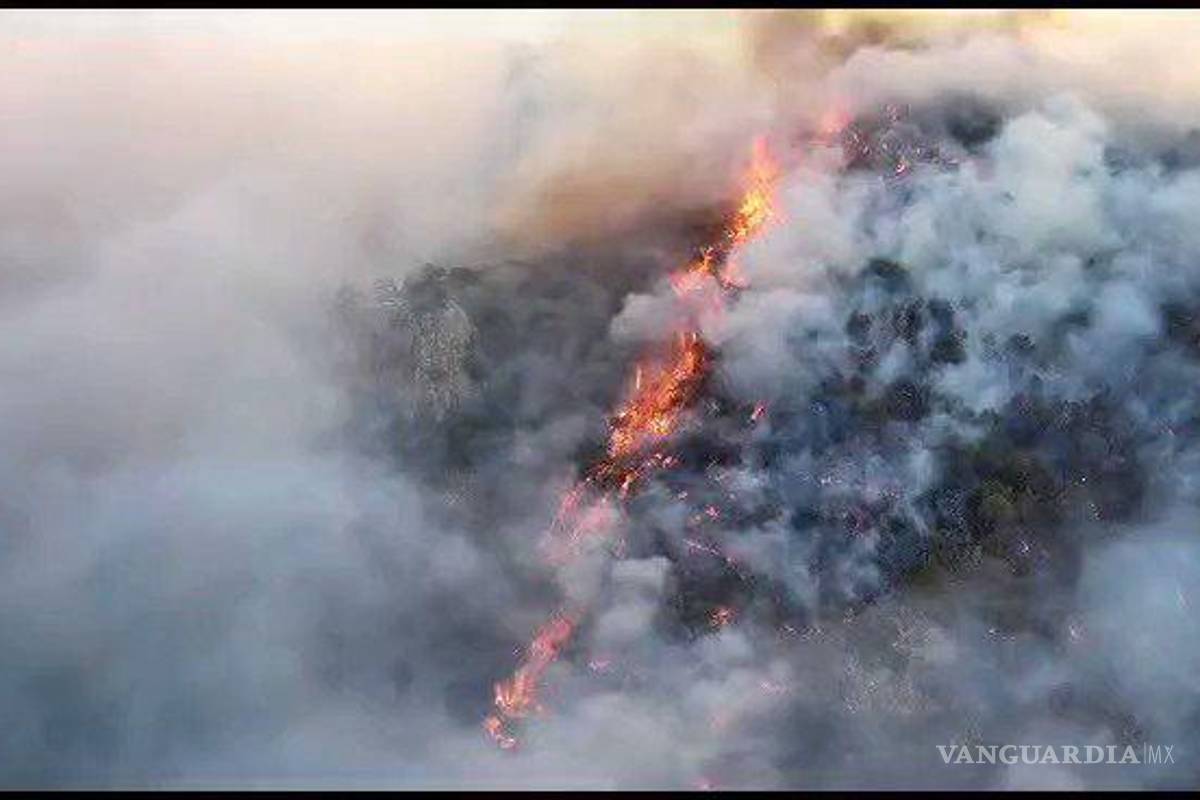 Incendio ha acabado con 9 mil 100 hectáreas en norte de Sonora