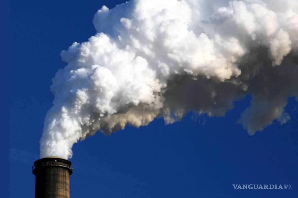 ¡Aterrador! La última vez que las emisiones de CO2 fueron tan altas como ahora, el ártico tenía palmeras