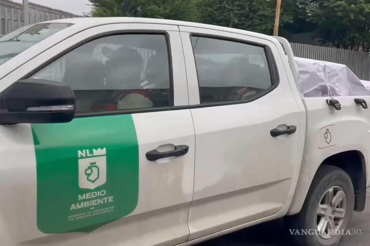 Tras denuncias de maltrato, aseguran 34 ejemplares del Centro de Bienestar Animal de Santa Catarina