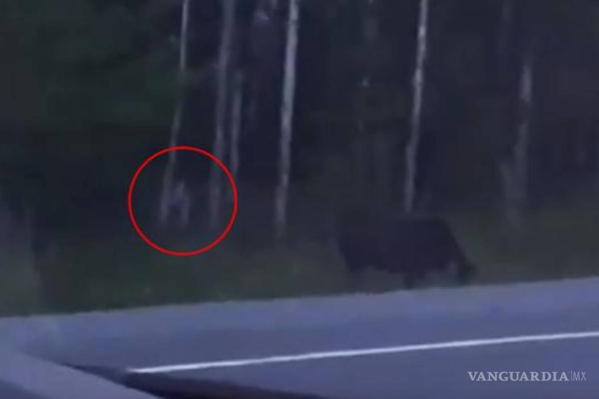 Captan extraña criatura parecida a famoso personaje de 'El Señor de los Anillos'