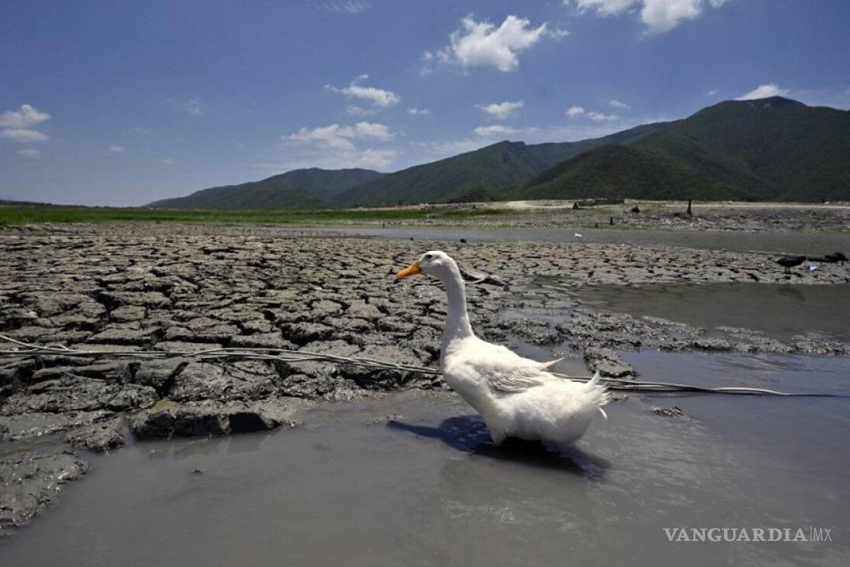 Pierde México más de 100 mil millones al año por desastres ligados al cambio climático