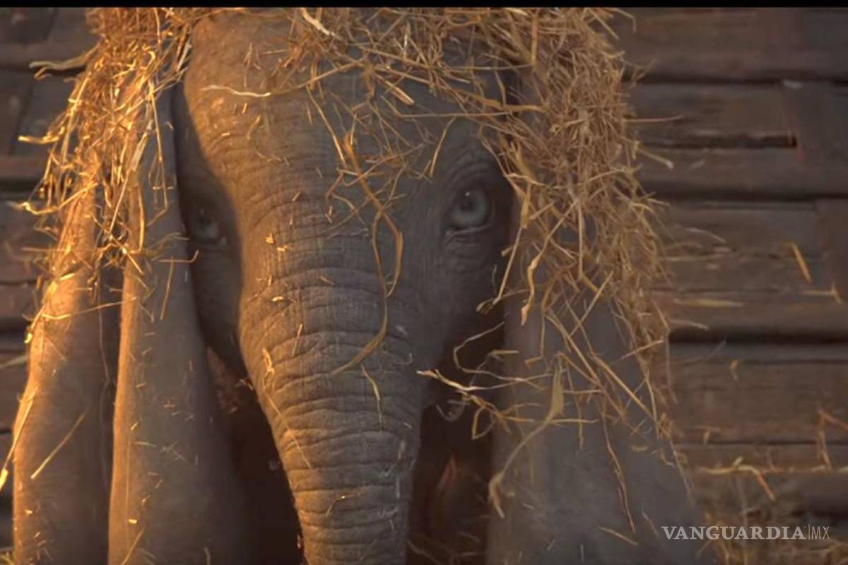 'Dumbo' vuelve tras 78 años, el clásico de Disney se hace 'real'