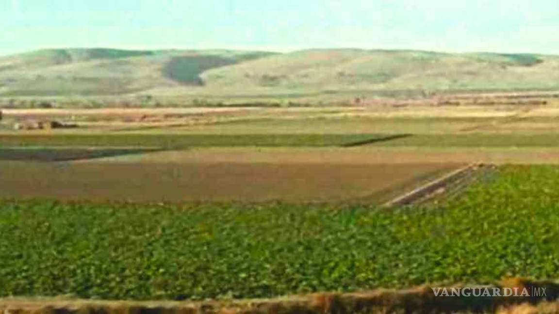 $!Plantíos de Rafael Caro Quintero.