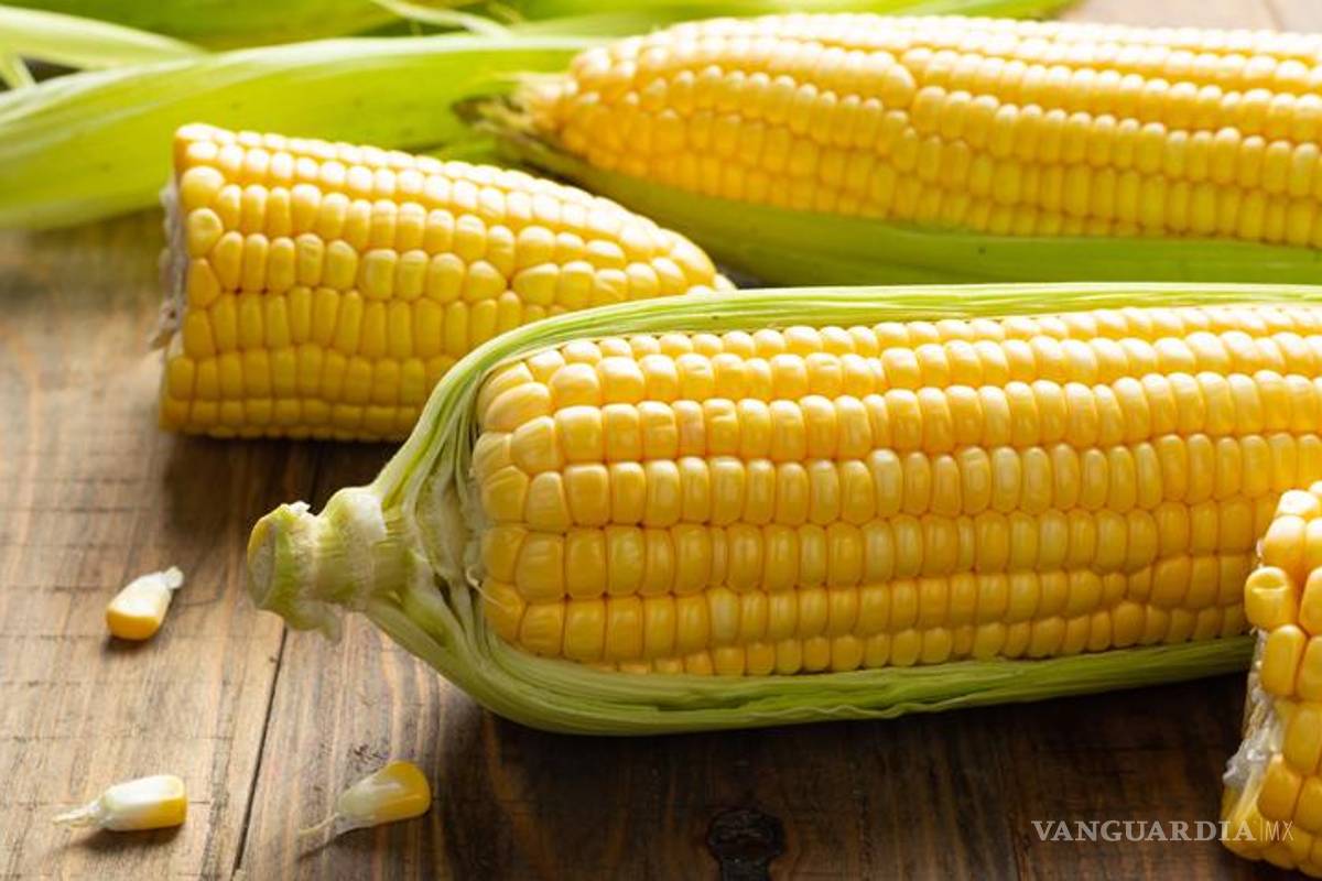 Los riesgos del maíz transgénico; ¿qué marcas lo utilizan?