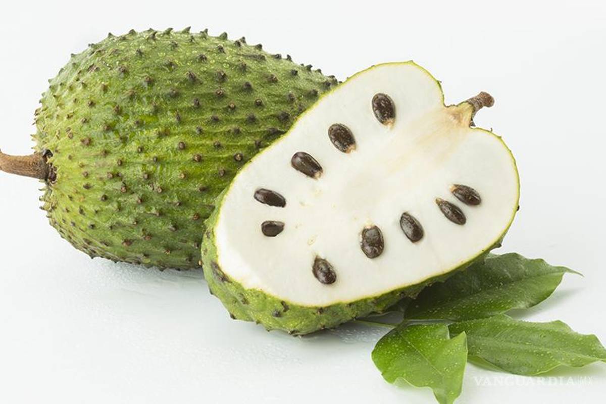 Moléculas de guanábana pueden destruir células de cáncer