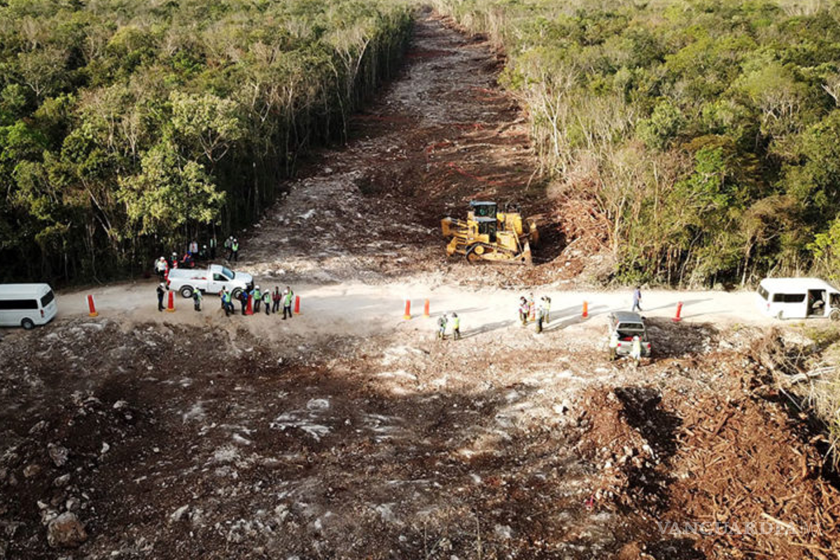 Decretan la expropiación de 90 inmuebles a favor del Tren Maya
