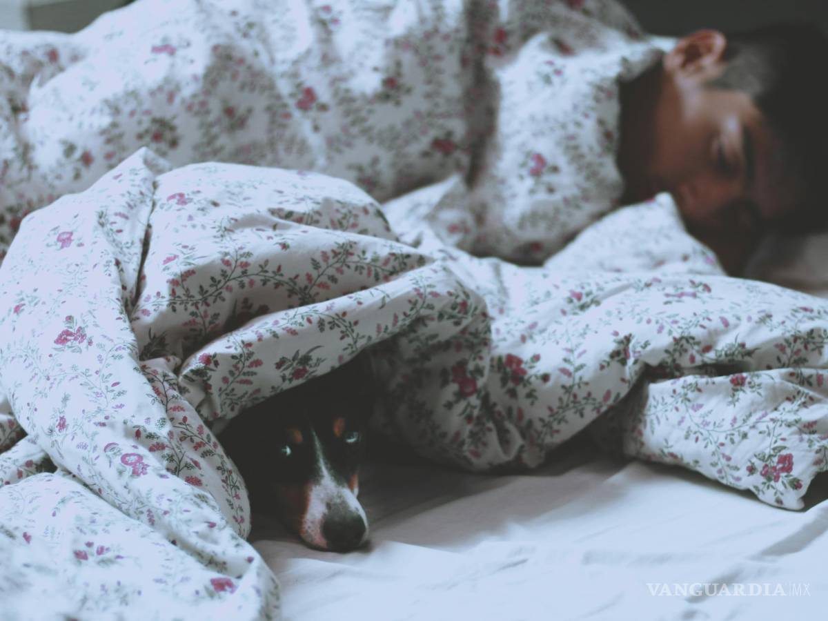 $!Pasamos aproximadamente un tercio de nuestras vidas durmiendo.